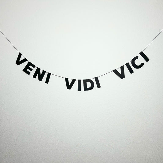 VENI VIDI VICI